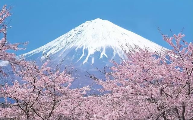 日本人口相對(duì)不多，衛(wèi)生紙用量卻世界第一，都用來干什么了？