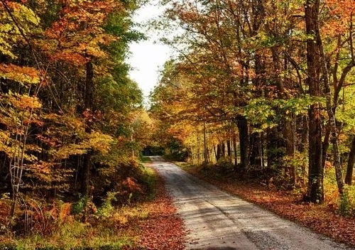 近期，緬因大學(xué)、新英格蘭林業(yè)基金會和美國林務(wù)局的研究人員，對緬因州北部大部分屬于私有商業(yè)林的7萬畝森林進(jìn)行建模研究后，最終根據(jù)研究結(jié)果，發(fā)布了一項有關(guān)緬因州森林碳吸收的新發(fā)現(xiàn)。