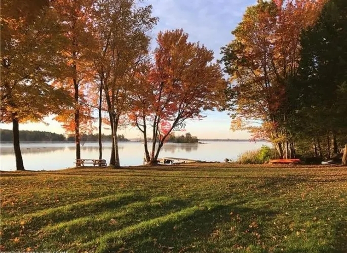 近期，緬因大學(xué)、新英格蘭林業(yè)基金會和美國林務(wù)局的研究人員，對緬因州北部大部分屬于私有商業(yè)林的7萬畝森林進(jìn)行建模研究后，最終根據(jù)研究結(jié)果，發(fā)布了一項有關(guān)緬因州森林碳吸收的新發(fā)現(xiàn)。