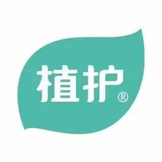 維亞造紙機(jī)械與來(lái)賓廣西植護(hù)云商7、8號(hào)機(jī)正式簽約