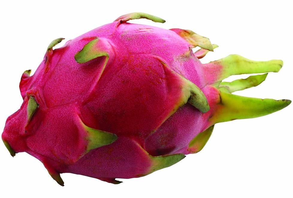 1567396170578131.jpg 火龍果.jpg