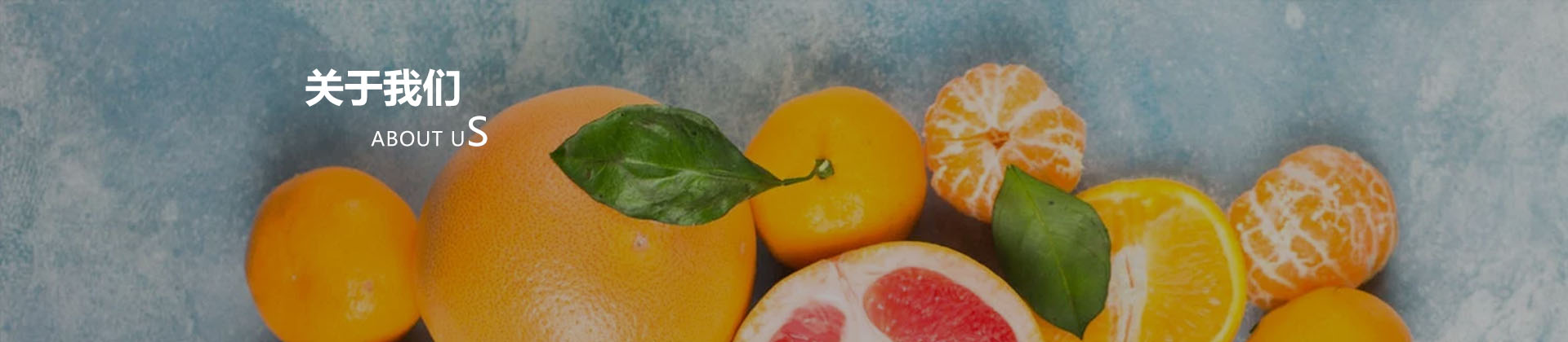 關(guān)于我們