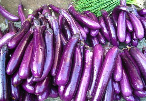 茄子的選購 茄子的選購