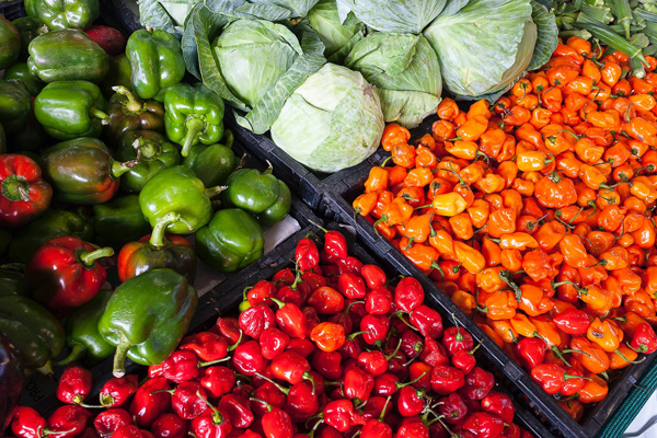 低熱量的蔬菜有哪些？