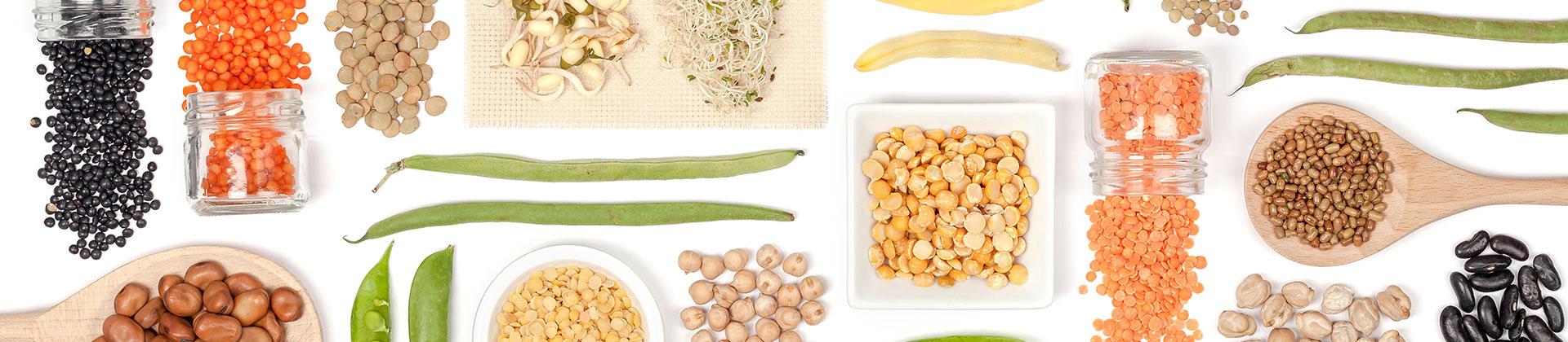 合作企業(yè)輪播