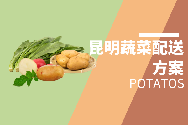 昆明蔬菜配送方案 昆明蔬菜配送方案