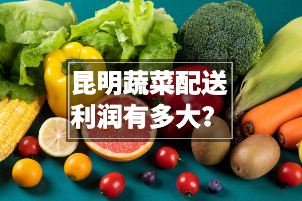 昆明蔬菜配送利潤有多大？