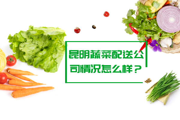 昆明蔬菜配送公司情況怎么樣？