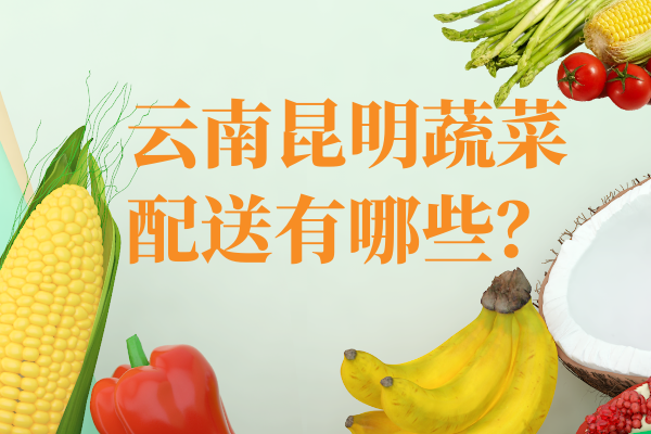 云南昆明蔬菜配送有哪些？