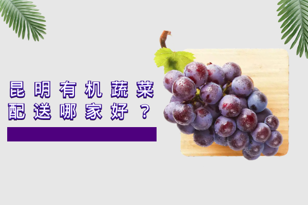 昆明有機(jī)蔬菜配送哪家好？