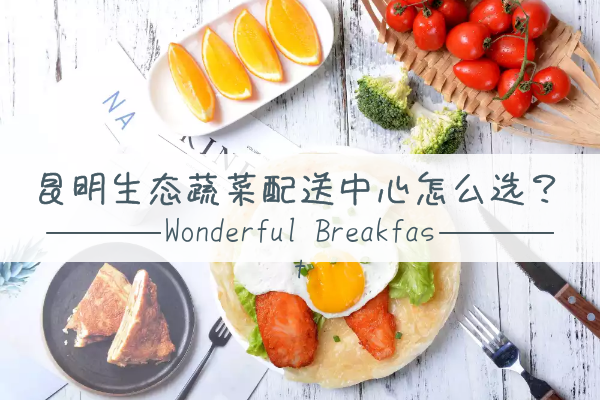 昆明生態(tài)蔬菜配送中心怎么選？